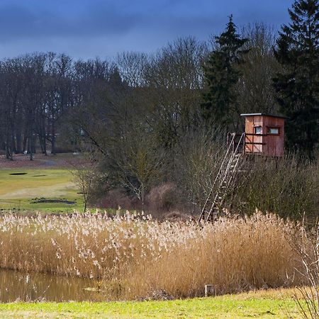 Tiny House Fleesensee Mit Eigenem Garten Und Nur Wenige Meter Vom Seeufer Göhren-Lebbin Εξωτερικό φωτογραφία